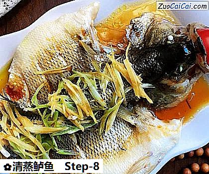 清蒸鲈鱼做法第八步骤