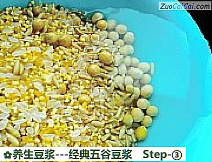 养生豆浆做法第三步骤