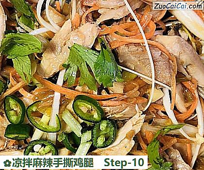 凉拌麻辣手撕鸡腿做法第十步骤