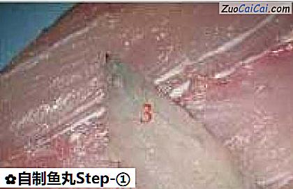 自制鱼丸做法第一步骤