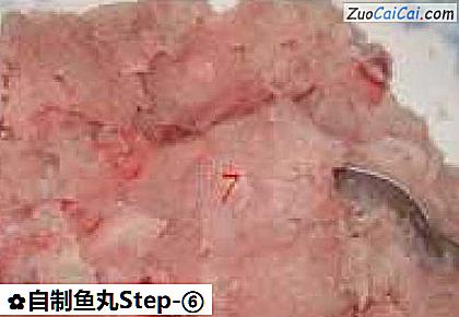 自制鱼丸做法第六步骤