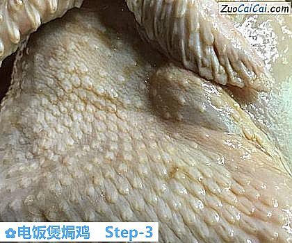 电饭煲焗鸡做法第三步骤