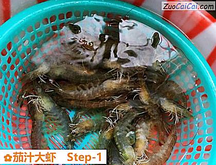 茄汁大虾做法第一步骤