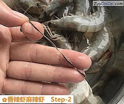 香辣虾麻辣虾做法第二步骤