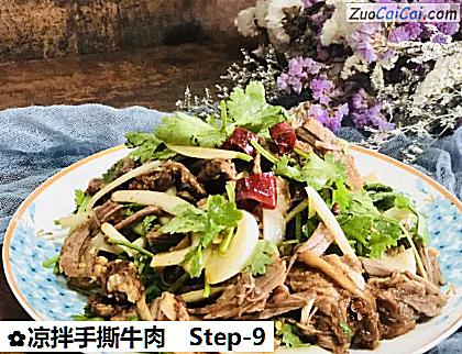 凉拌手撕牛肉做法第九步骤
