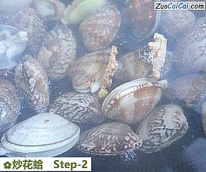 炒花蛤做法第二步骤