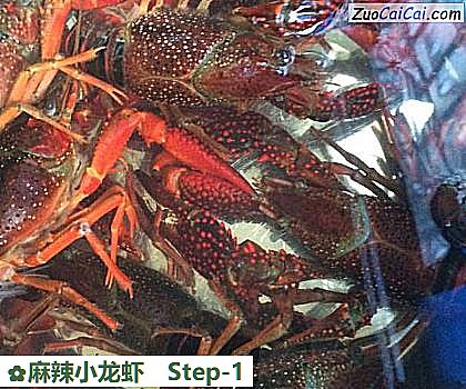 麻辣小龙虾做法第一步骤