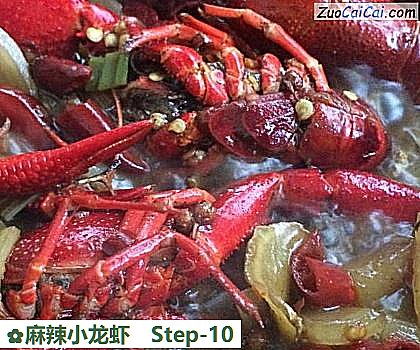 麻辣小龙虾做法第十步骤