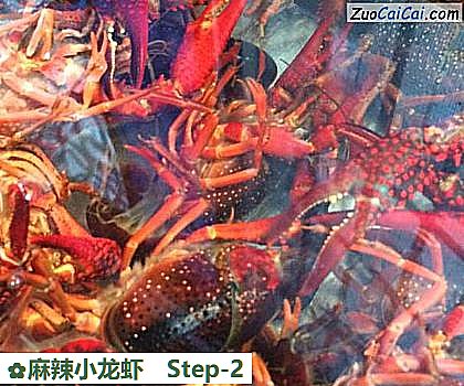 麻辣小龙虾做法第二步骤
