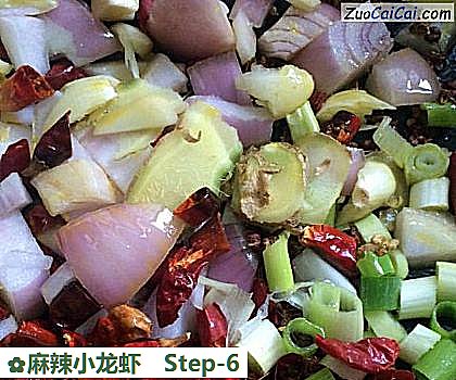 麻辣小龙虾做法第六步骤