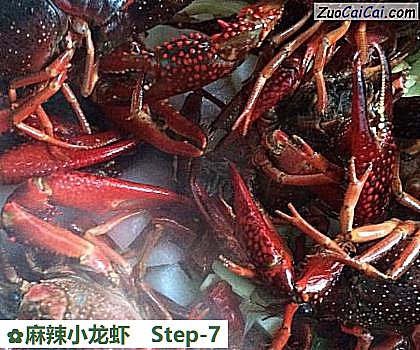 麻辣小龙虾做法第七步骤