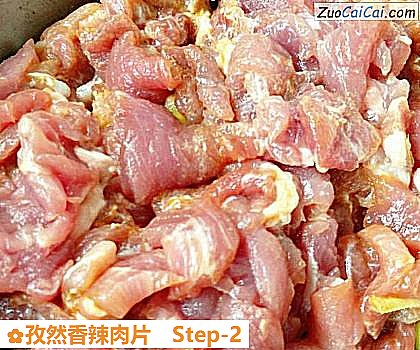 孜然香辣肉片做法第二步骤