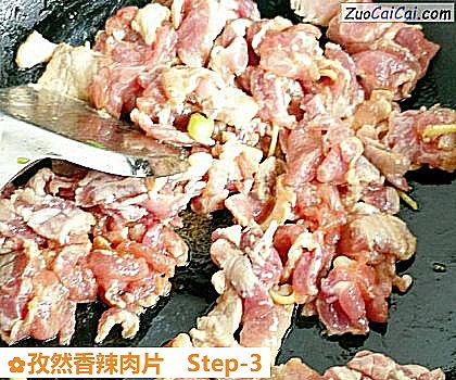 孜然香辣肉片做法第三步骤