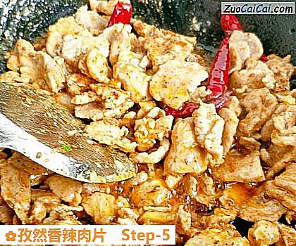 孜然香辣肉片做法第五步骤