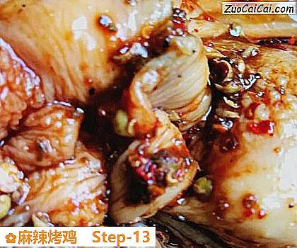 麻辣烤鸡的做法步骤图(十三) 麻辣烤鸡的做法步骤图(十三)