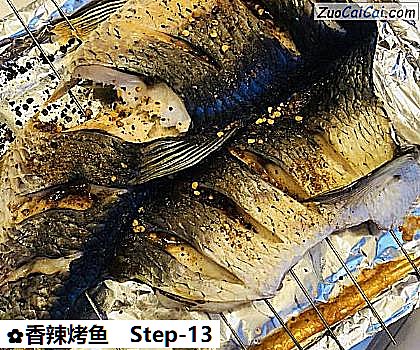 香辣烤鱼的做法步骤图(十三) 香辣烤鱼的做法步骤图(十三)