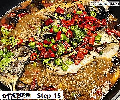 香辣烤鱼的做法步骤图(十五) 香辣烤鱼的做法步骤图(十五)