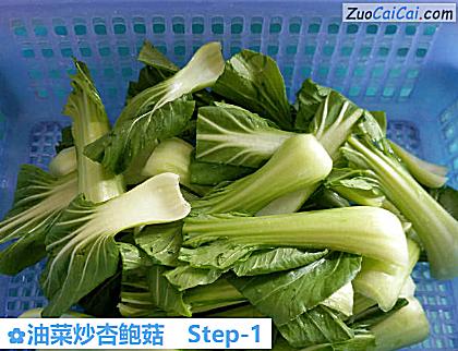 油菜炒杏鲍菇做法第一步骤