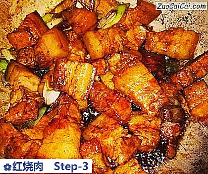 红烧肉做法第三步骤