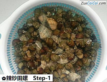 辣炒田螺做法第一步骤