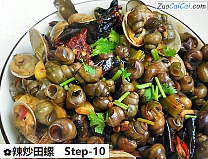 辣炒田螺做法第十步骤