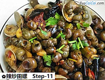 辣炒田螺做法第十一步骤