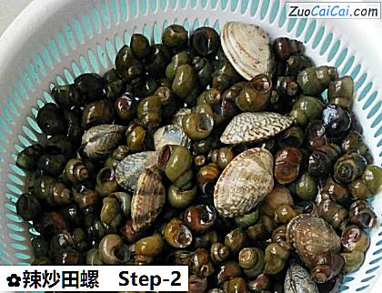 辣炒田螺做法第二步骤