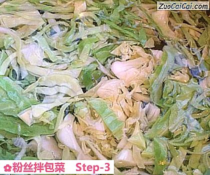 粉丝拌包菜做法第三步骤