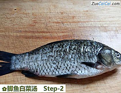 鲫鱼白菜汤做法第二步骤