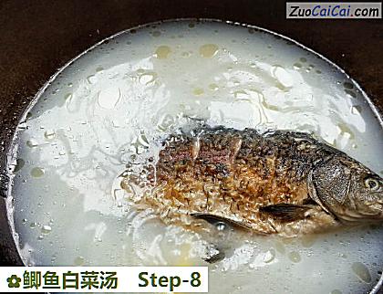 鲫鱼白菜汤做法第八步骤