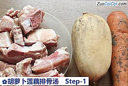 胡萝卜莲藕排骨汤做法第一步骤