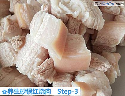 养生砂锅红烧肉做法第三步骤