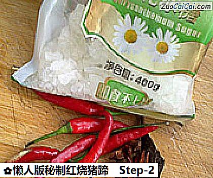 懒人版秘制红烧猪蹄做法第二步骤