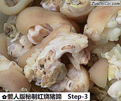 懒人版秘制红烧猪蹄做法第三步骤