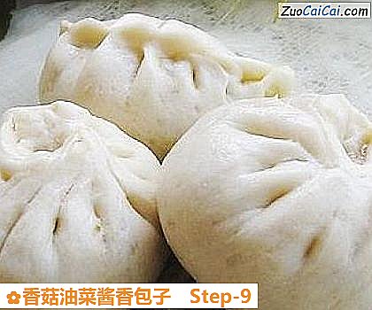香菇油菜酱香包子做法第九步骤