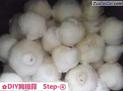 DIY腌糖蒜做法第四步骤