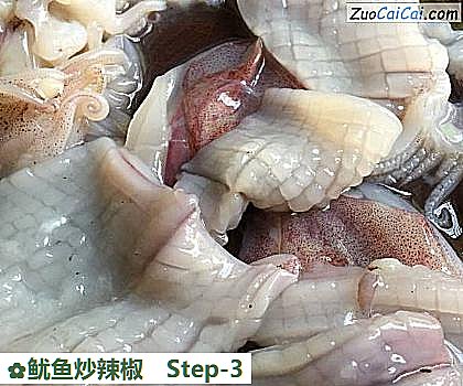 鱿鱼炒辣椒做法第三步骤