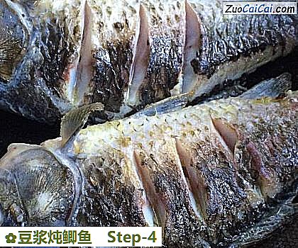 豆浆炖鲫鱼做法第四步骤