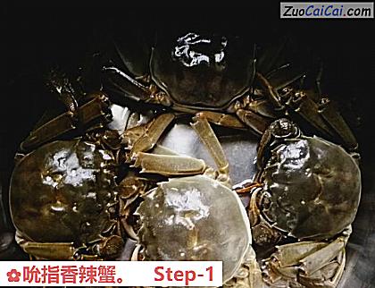 吮指香辣蟹做法第一步骤