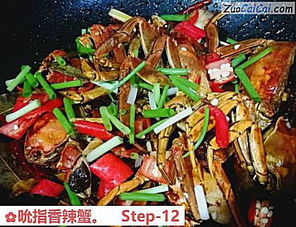 吮指香辣蟹做法第十二步骤