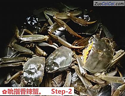 吮指香辣蟹做法第二步骤