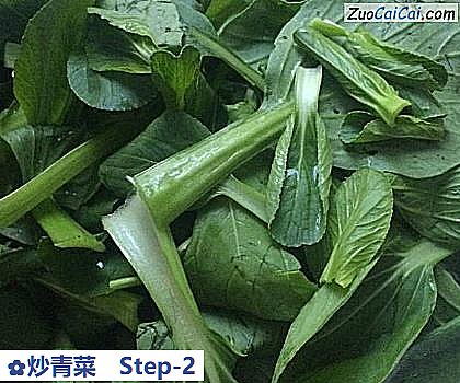 炒青菜做法第二步骤