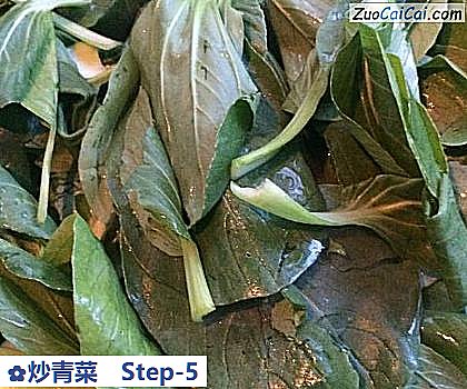 炒青菜做法第五步骤