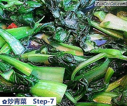 炒青菜做法第七步骤