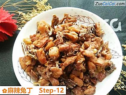 麻辣兔丁做法第十二步骤