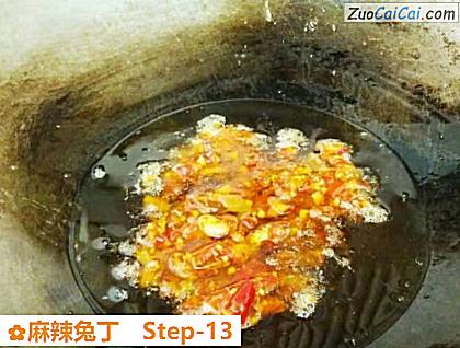 麻辣兔丁做法第十三步骤