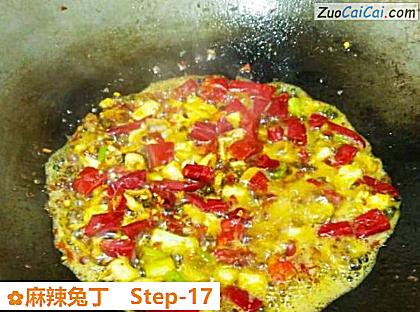 麻辣兔丁做法第十七步骤