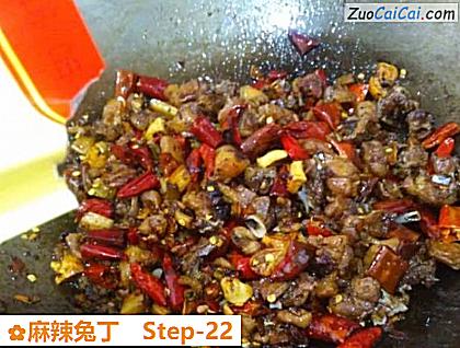 麻辣兔丁做法第二十二步骤