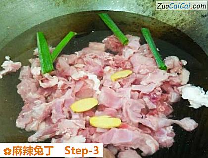 麻辣兔丁做法第三步骤