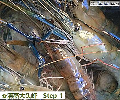 清蒸大头虾做法第一步骤